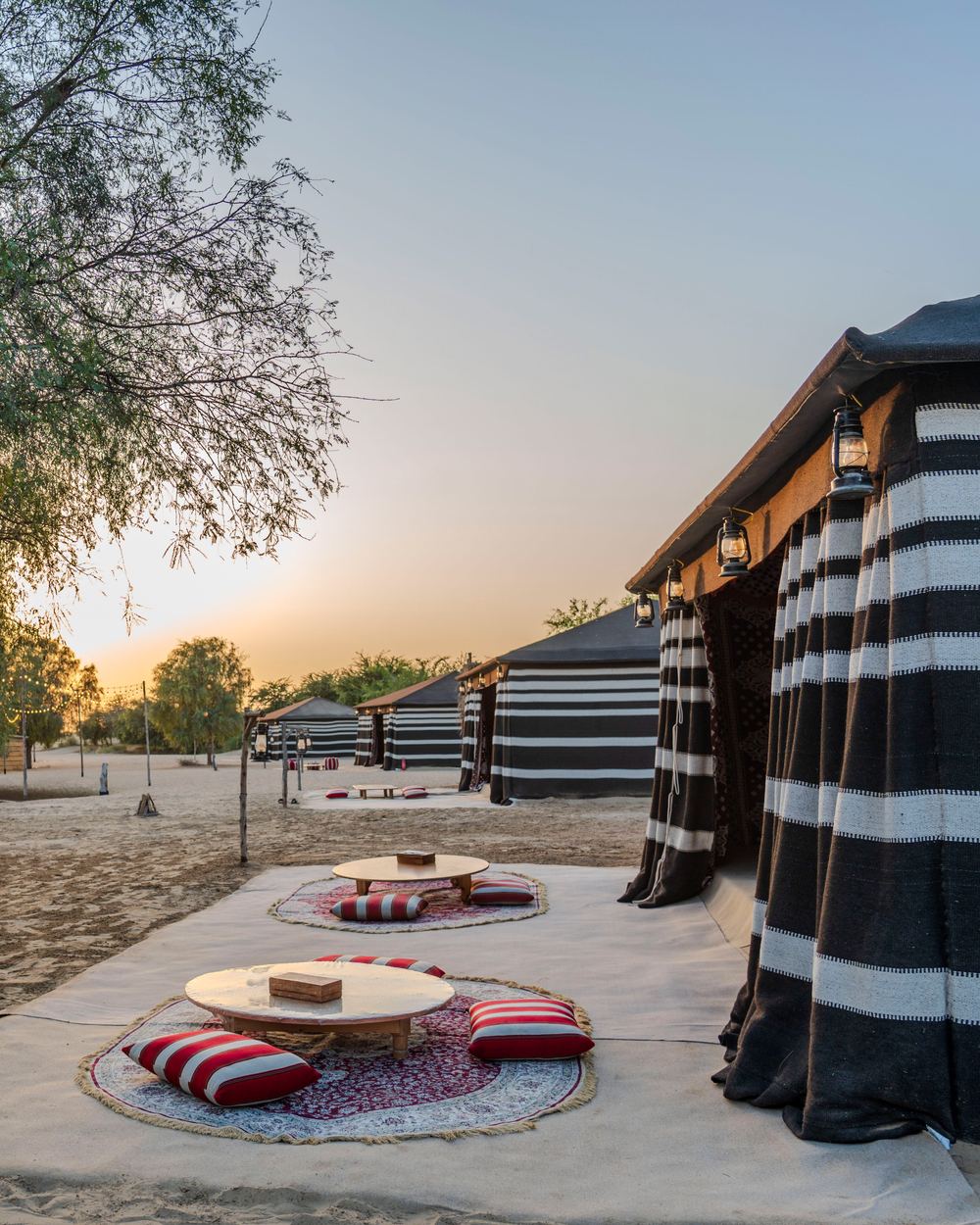 Al Marmoom Oasis — 1