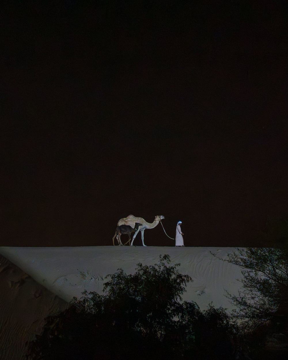 Five-Course Dinner & Bedouin Cultural Experience — 2