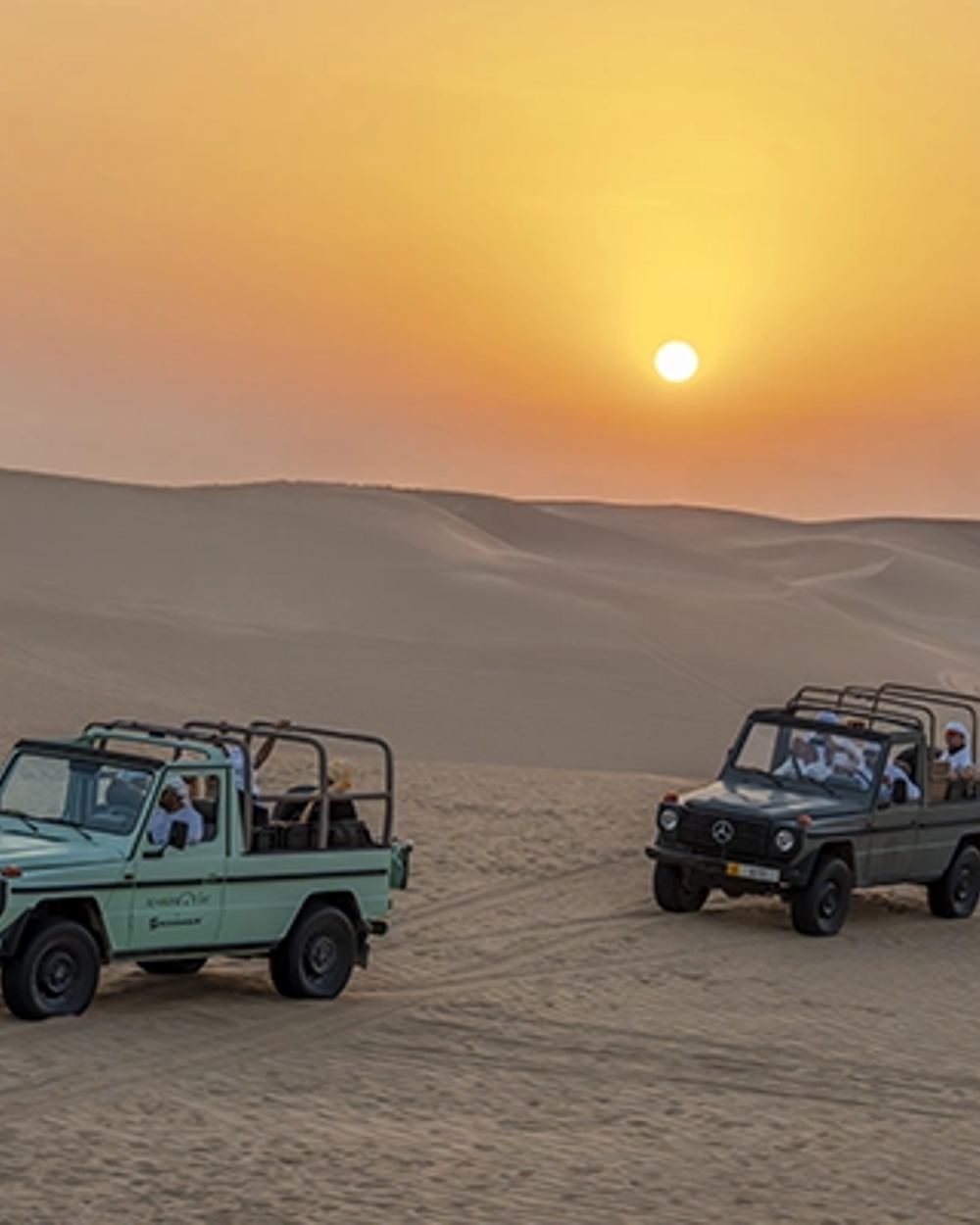 Pickup & Transfer to Al Marmoom Oasis — 2