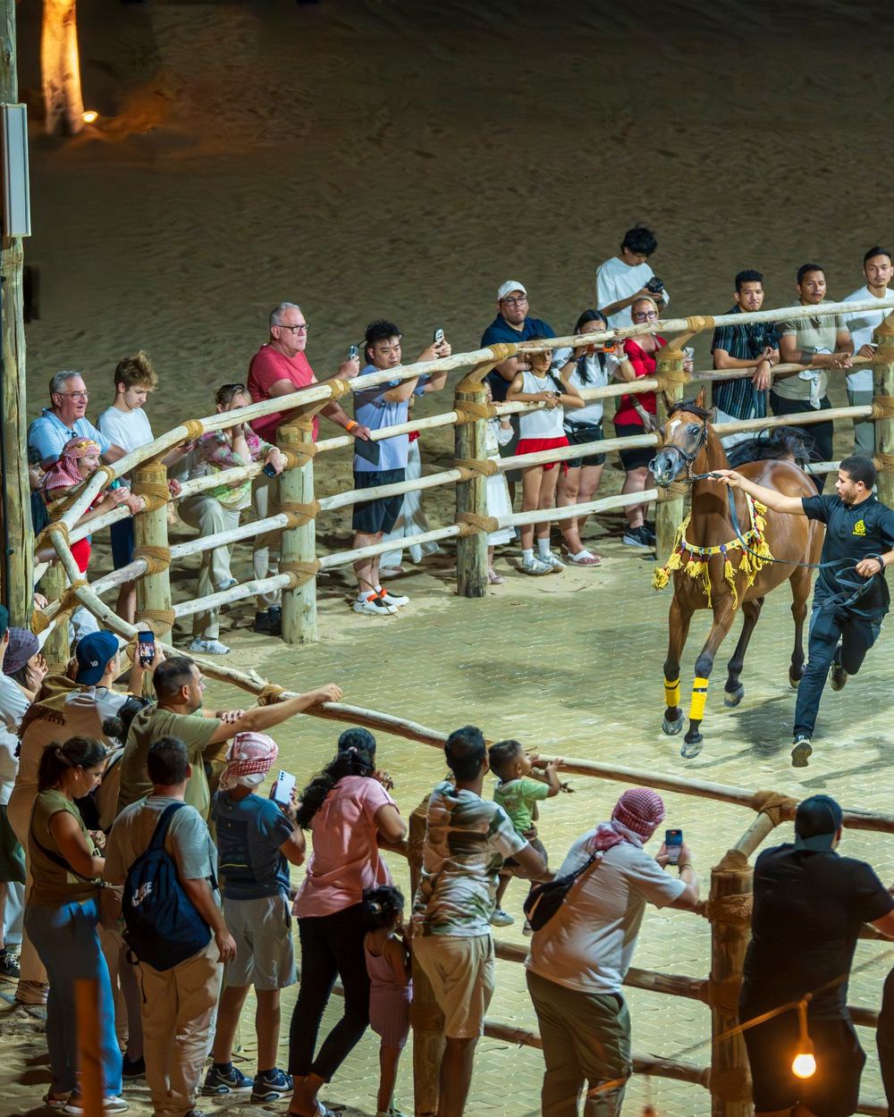 Horse Show