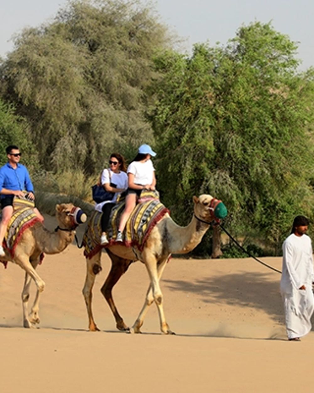 Al Marmoom Oasis — 2