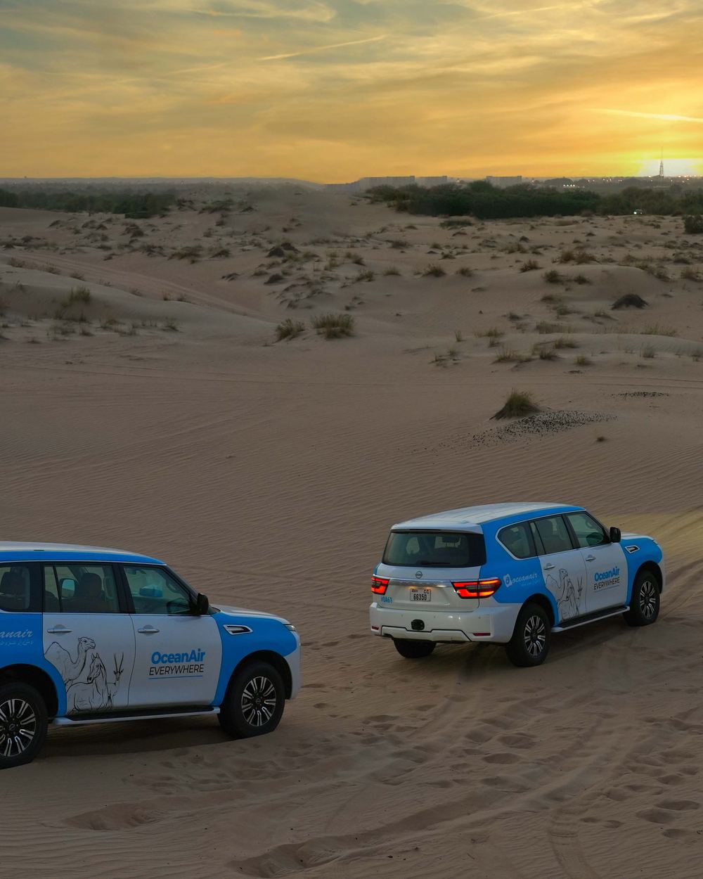 Dune Drive, Sunset Photos & Wildlife Spotting — 1