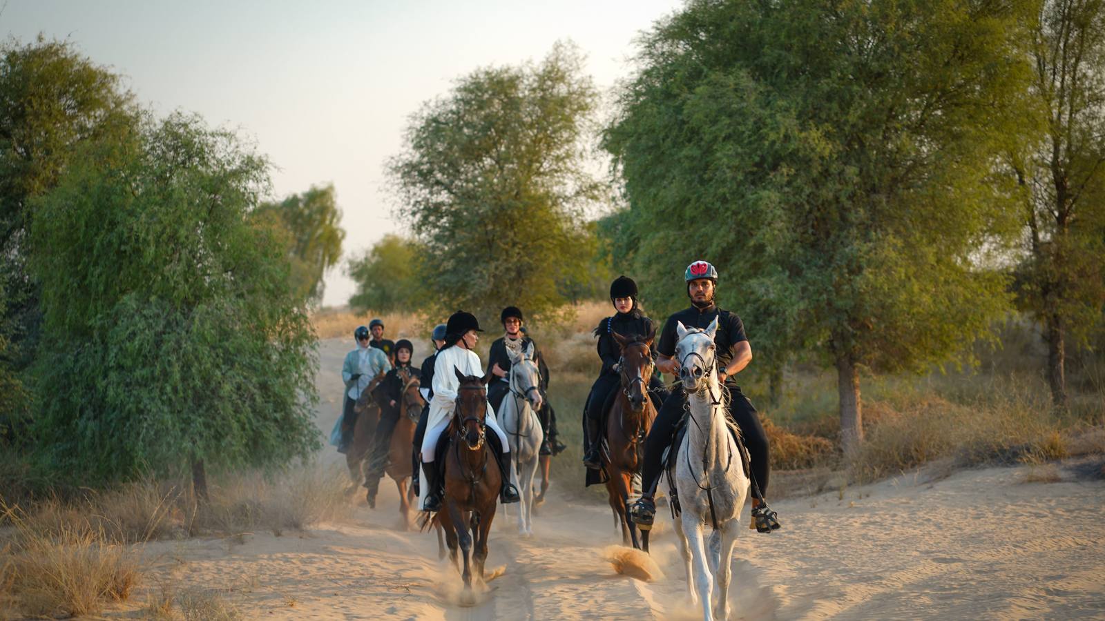 Al Salah Stud Visit and Purebred Arabian Horse Experience