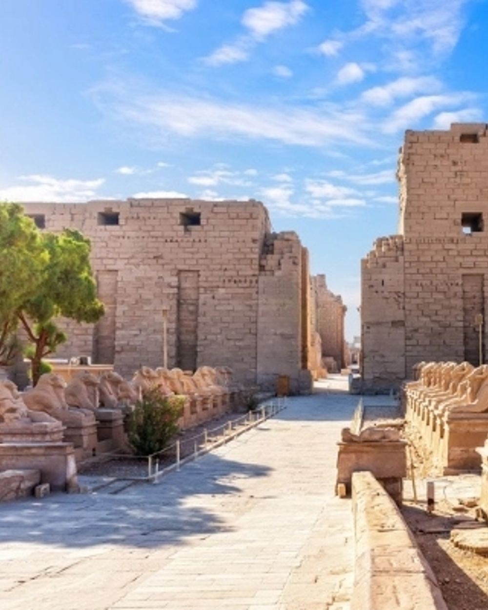 Karnak Temple & Luxor Temple Highlights — 2