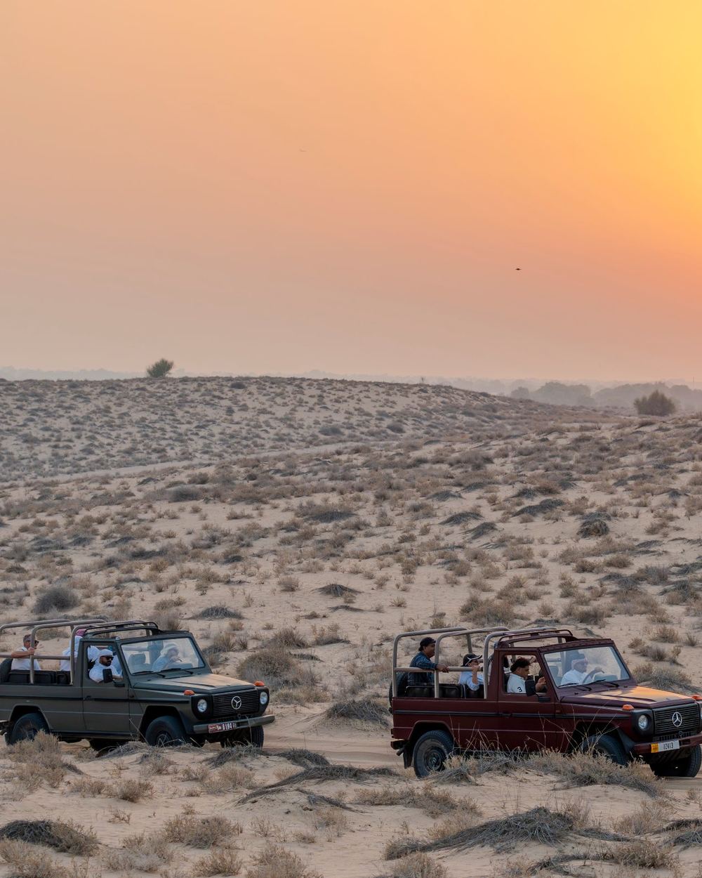 Dune Sunset & Falconry Display — 1