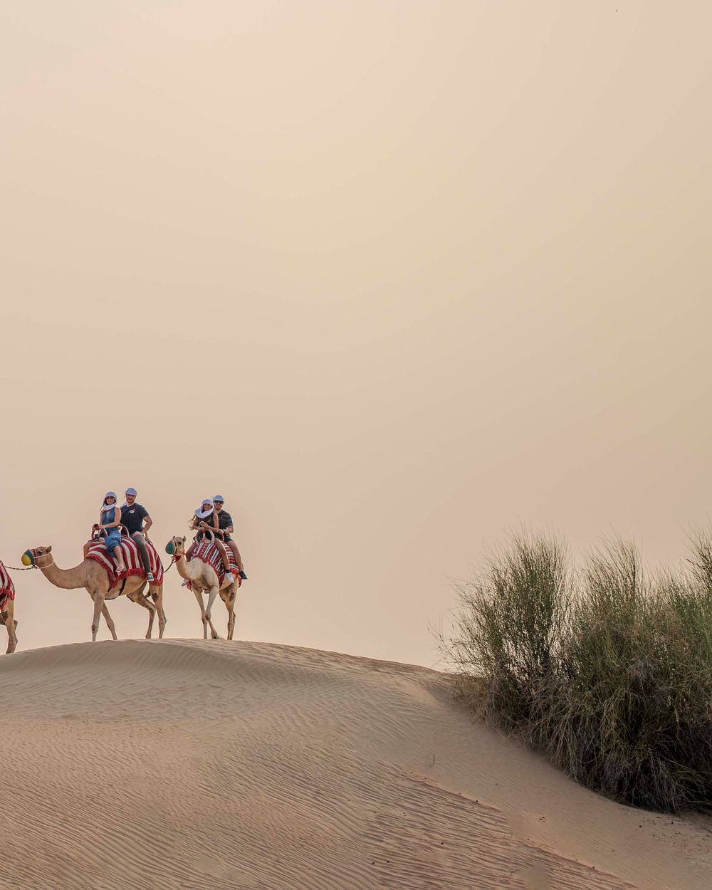 Moonlight Lamp-Lit Camel Ride — 3