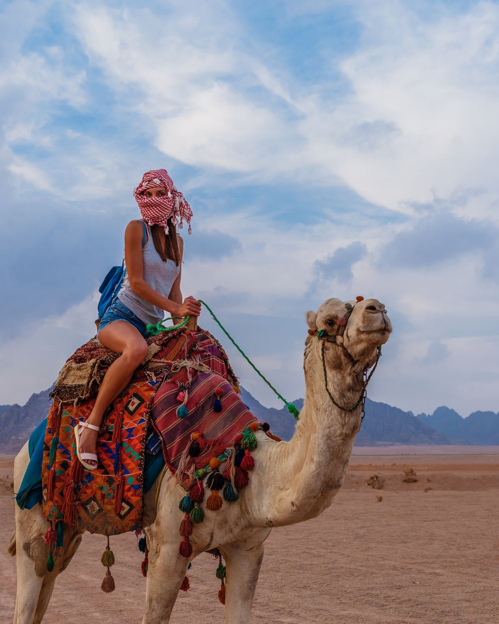 Camel ride sharm el sheikh (1)