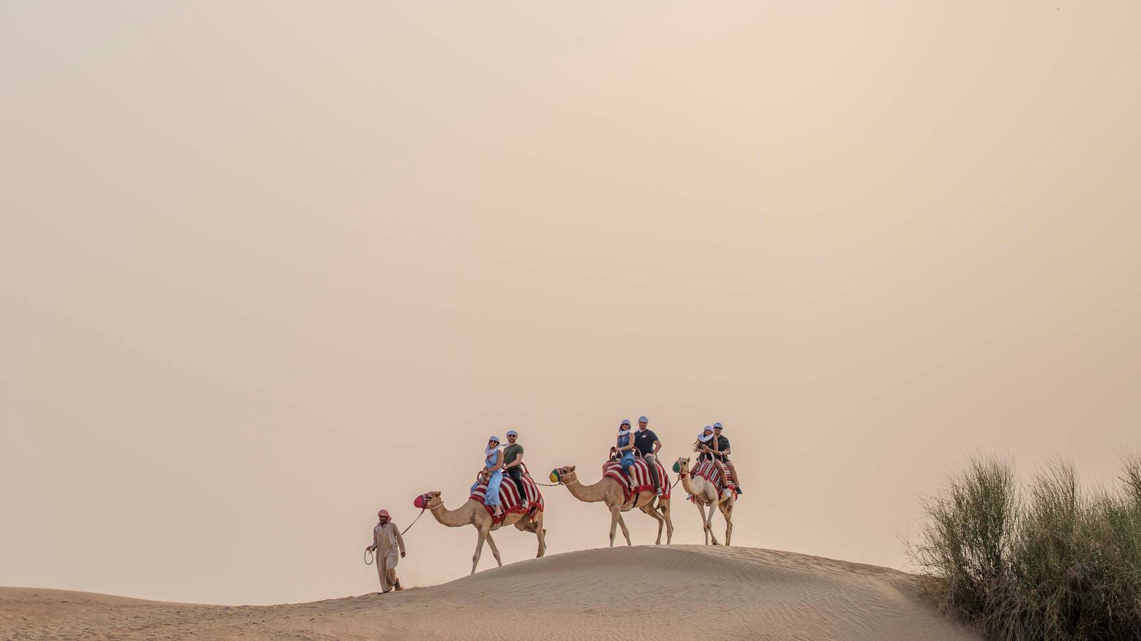 Dubai: Sunset Camel Trekking & Dinner at Al Marmoom Oasis