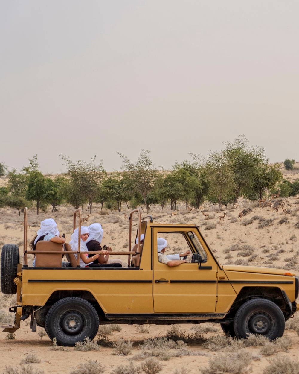 Ride in an open-air Vintage G Class — 2