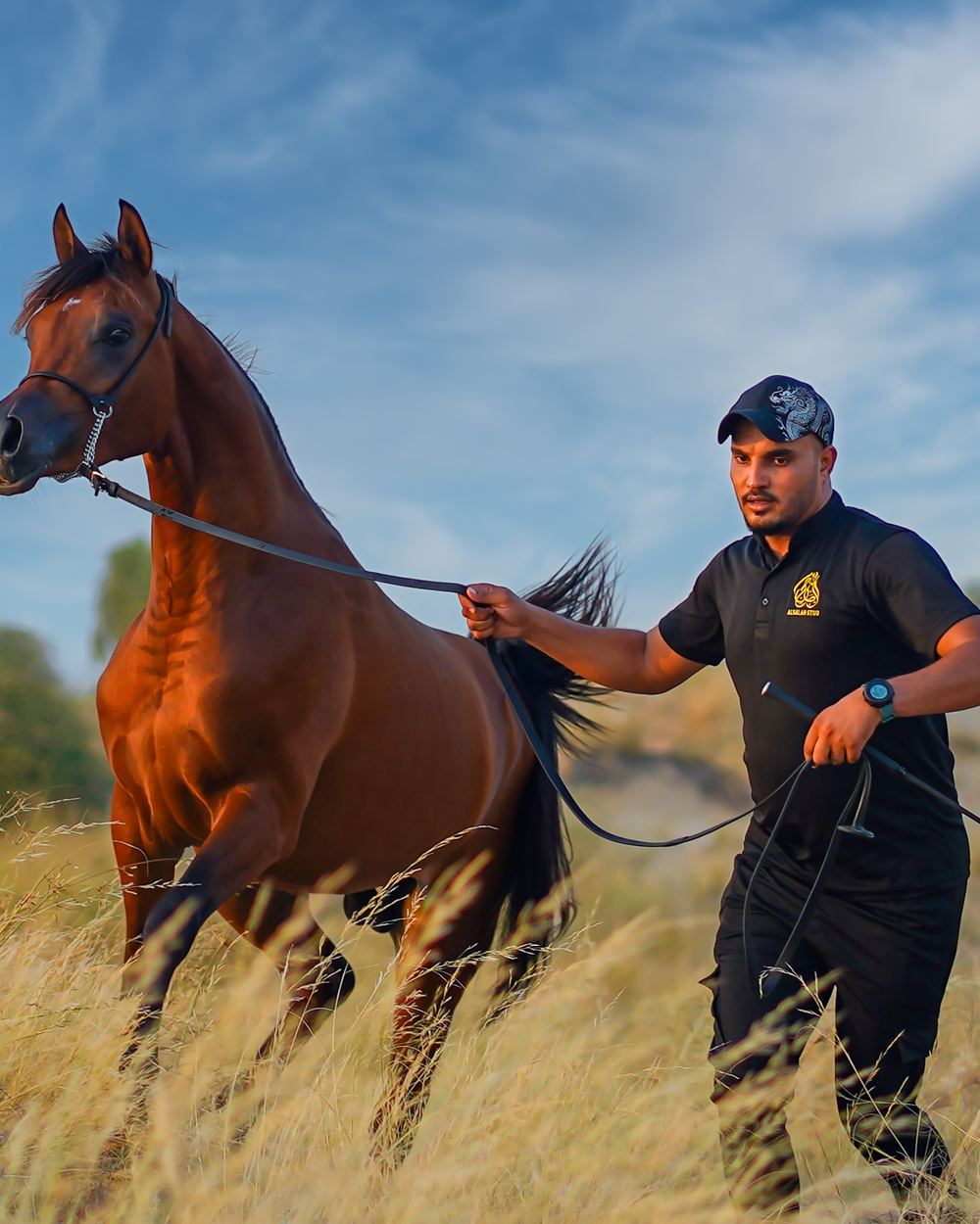 Private Mare & Bloodline Tour — 1