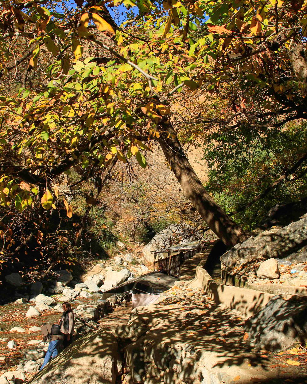 Ourika Valley & Setti Fadma