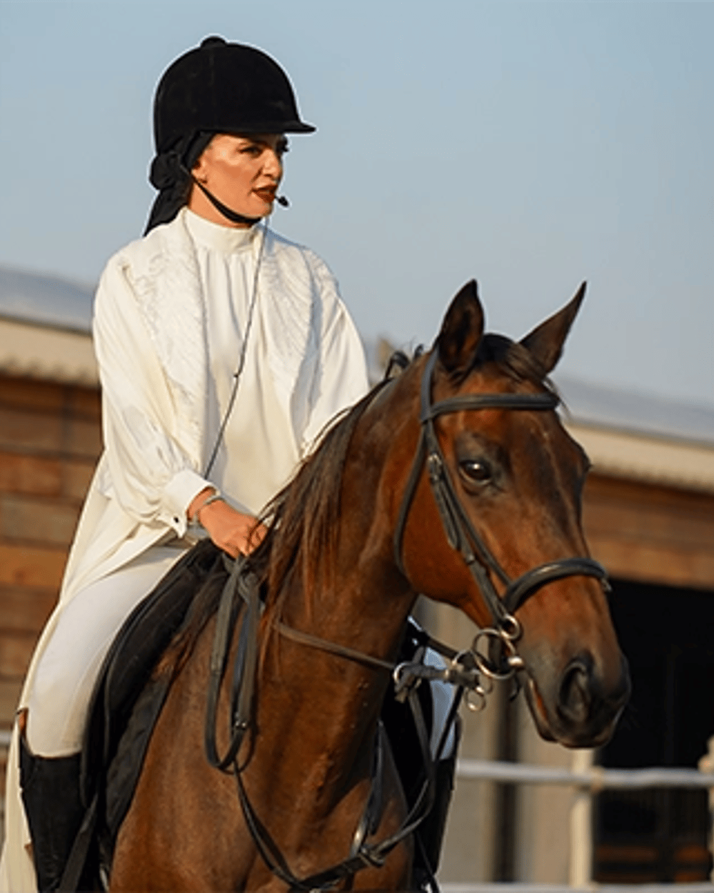 Explore Al Salah Stud — 2