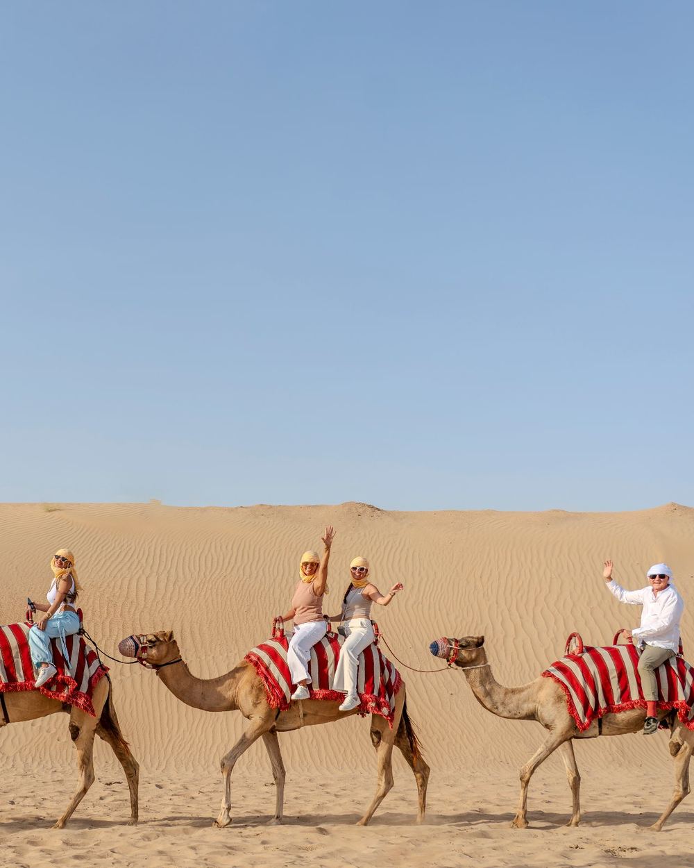 Camel Ride & Pause with Falcon — 1