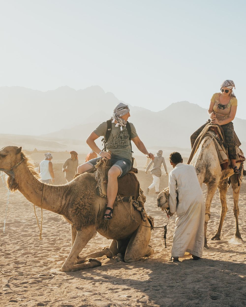 Sharm camel ride