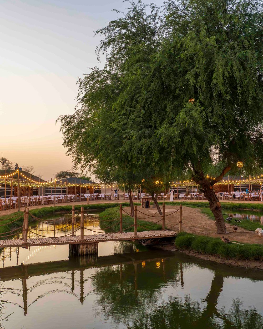 Dubai: Al Marmoom Oasis Camp Experience with Bedouin Dinner