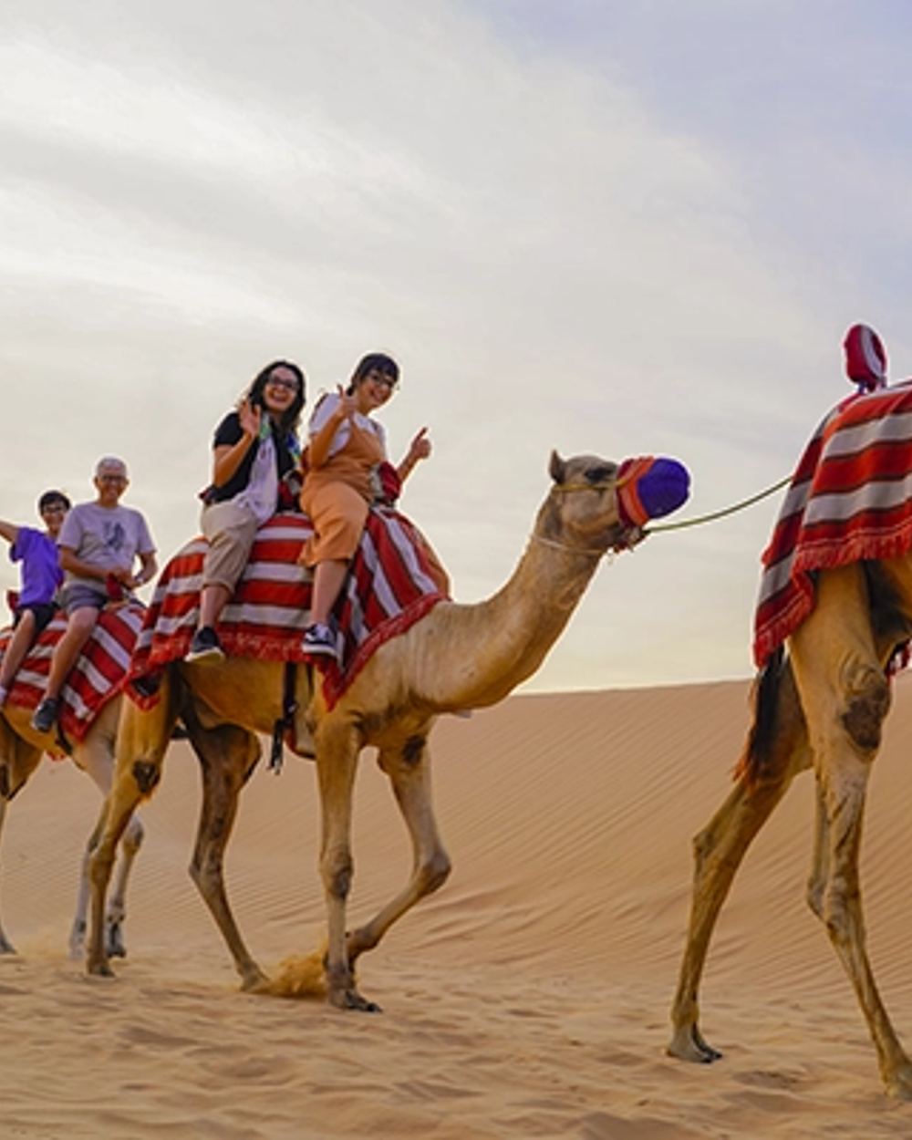 Camel Ride — 1