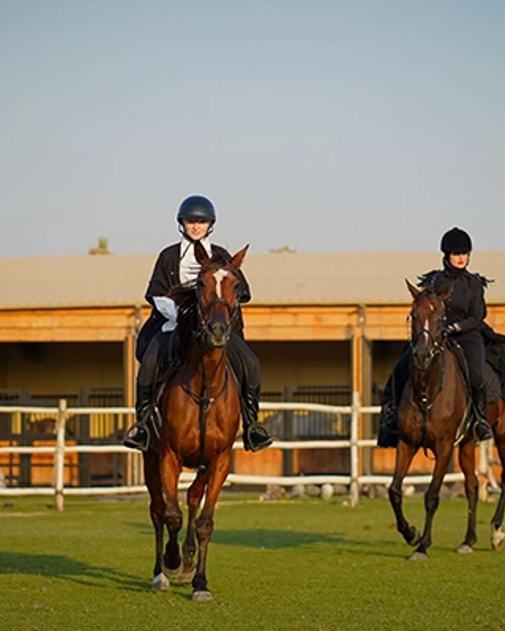 Explore Al Salah Stud — 1