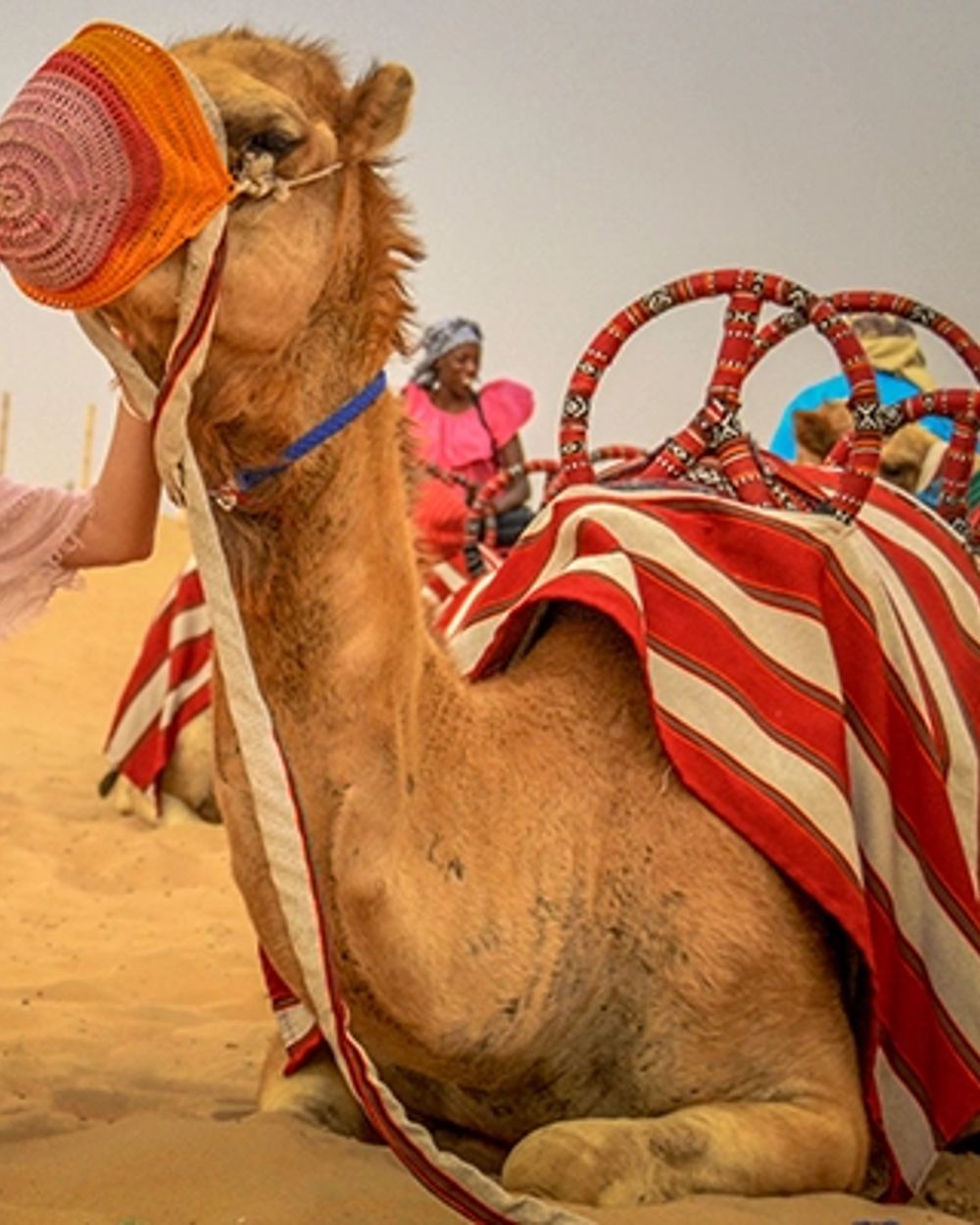 Camel Ride — 3
