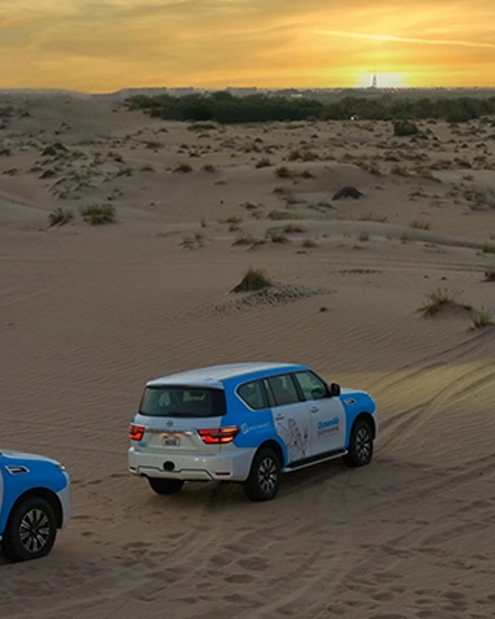 Arabian Night Desert Experience: Camel Ride, Wildlife & Stargazing