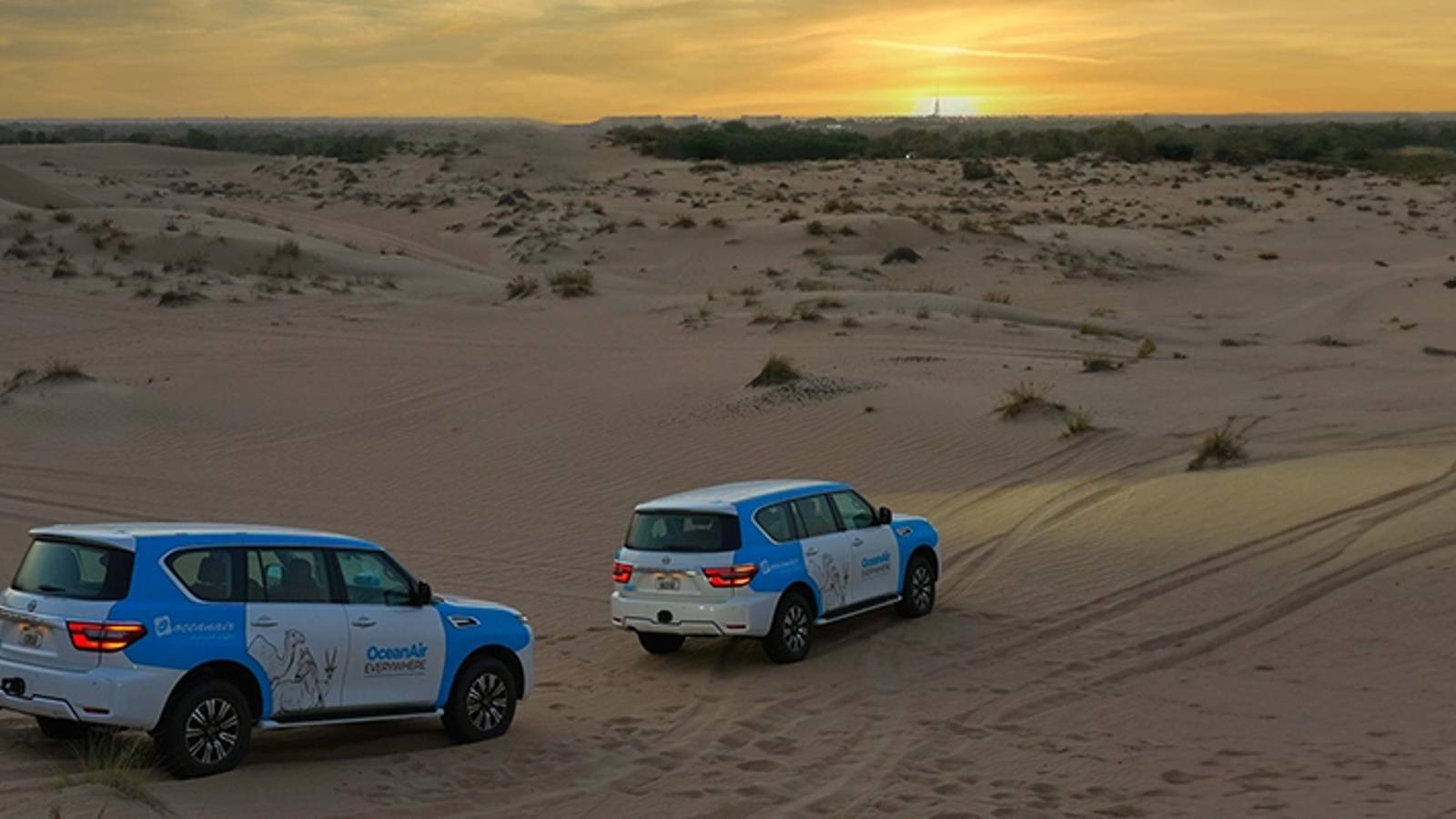 Dubai: Night Desert safari with Camel Ride & Stargazing