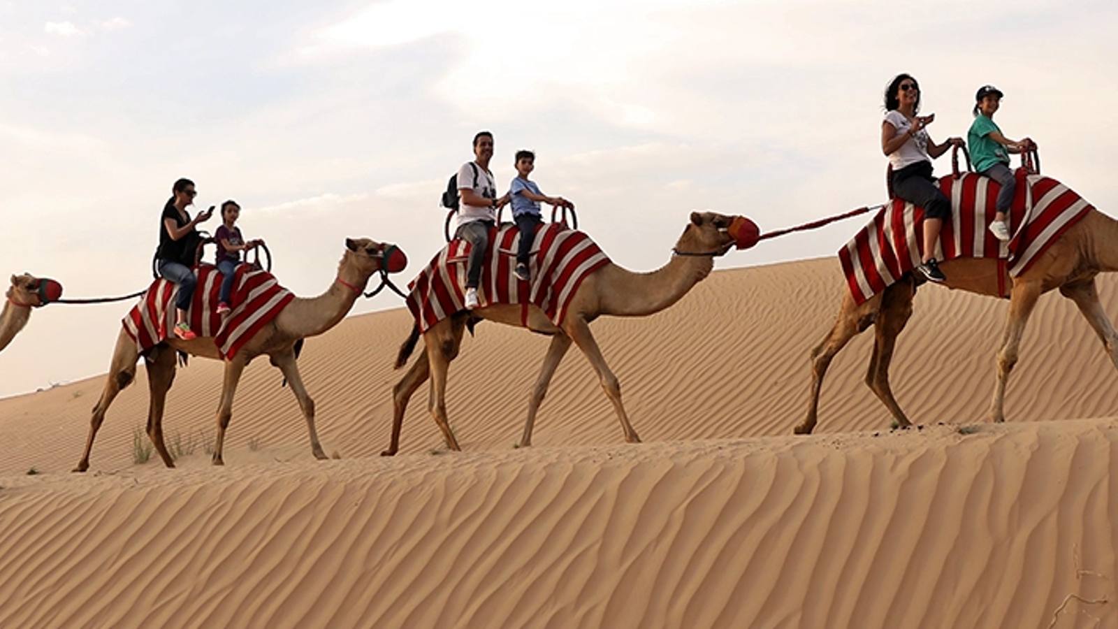 Dubai: Camel Caravan, Bedouin Breakfast with Al Marmoom Oasis