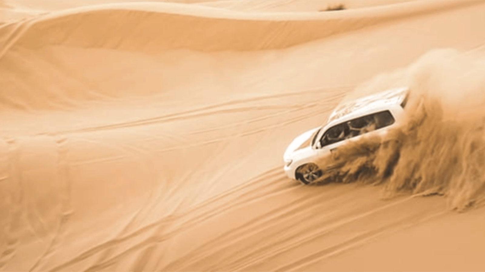 Doha: Safari, Camel Ride, Sandboarding and Inland Sea Tour