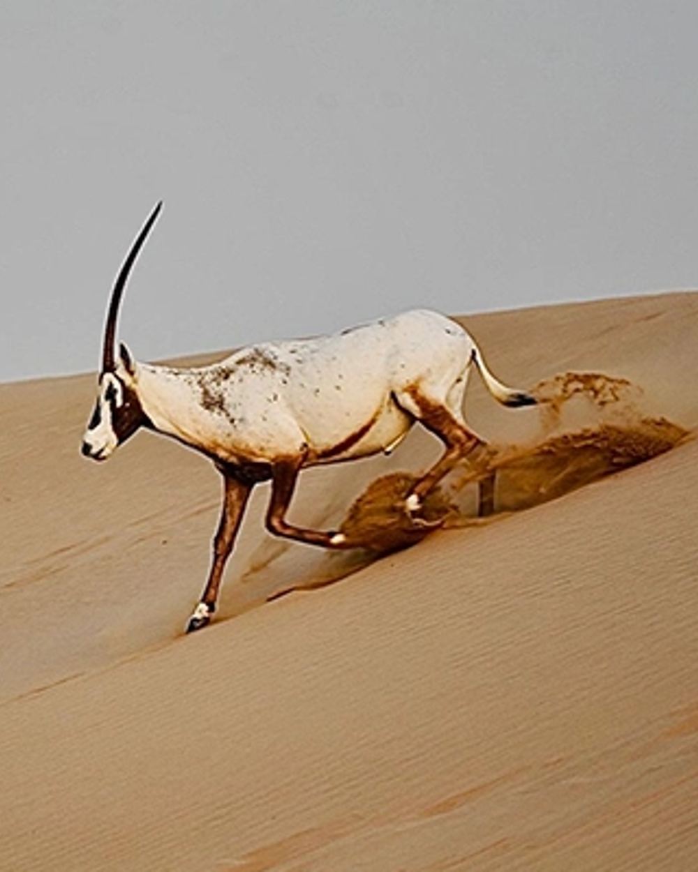 Al Marmoom Desert Reserve