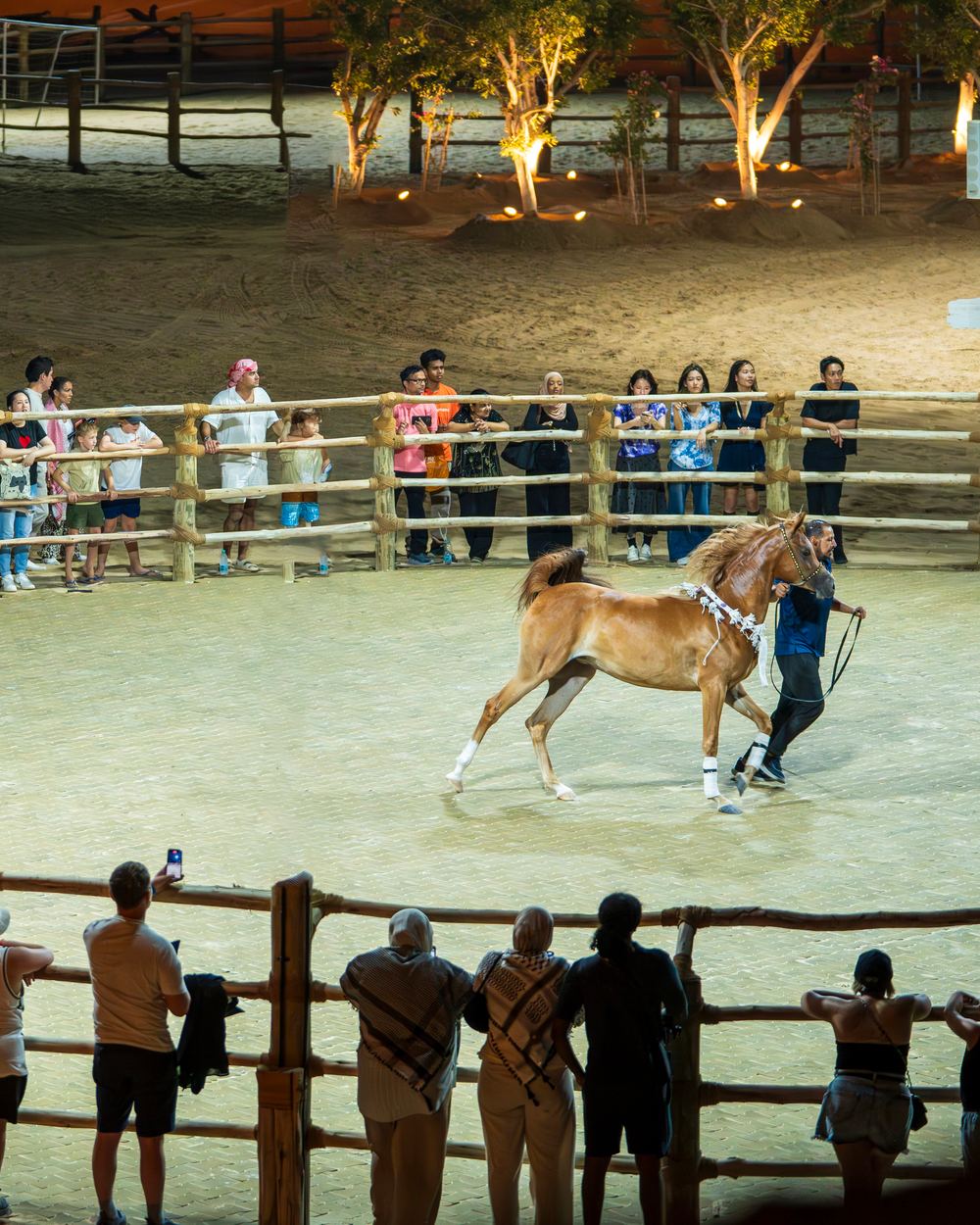 Five-Course Dinner & Bedouin Cultural Experience — 3