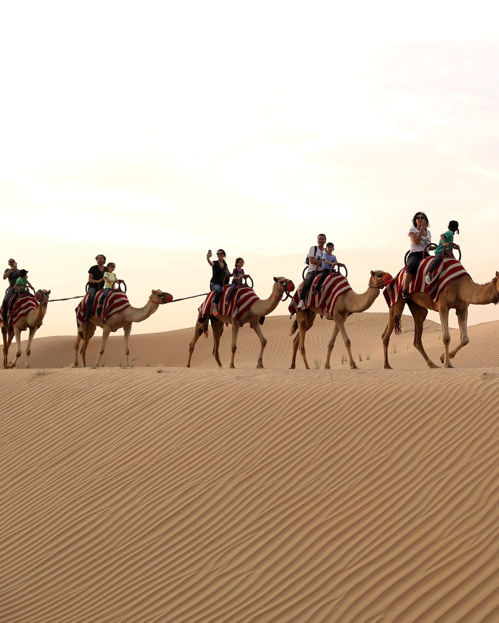 Camel ride — 2