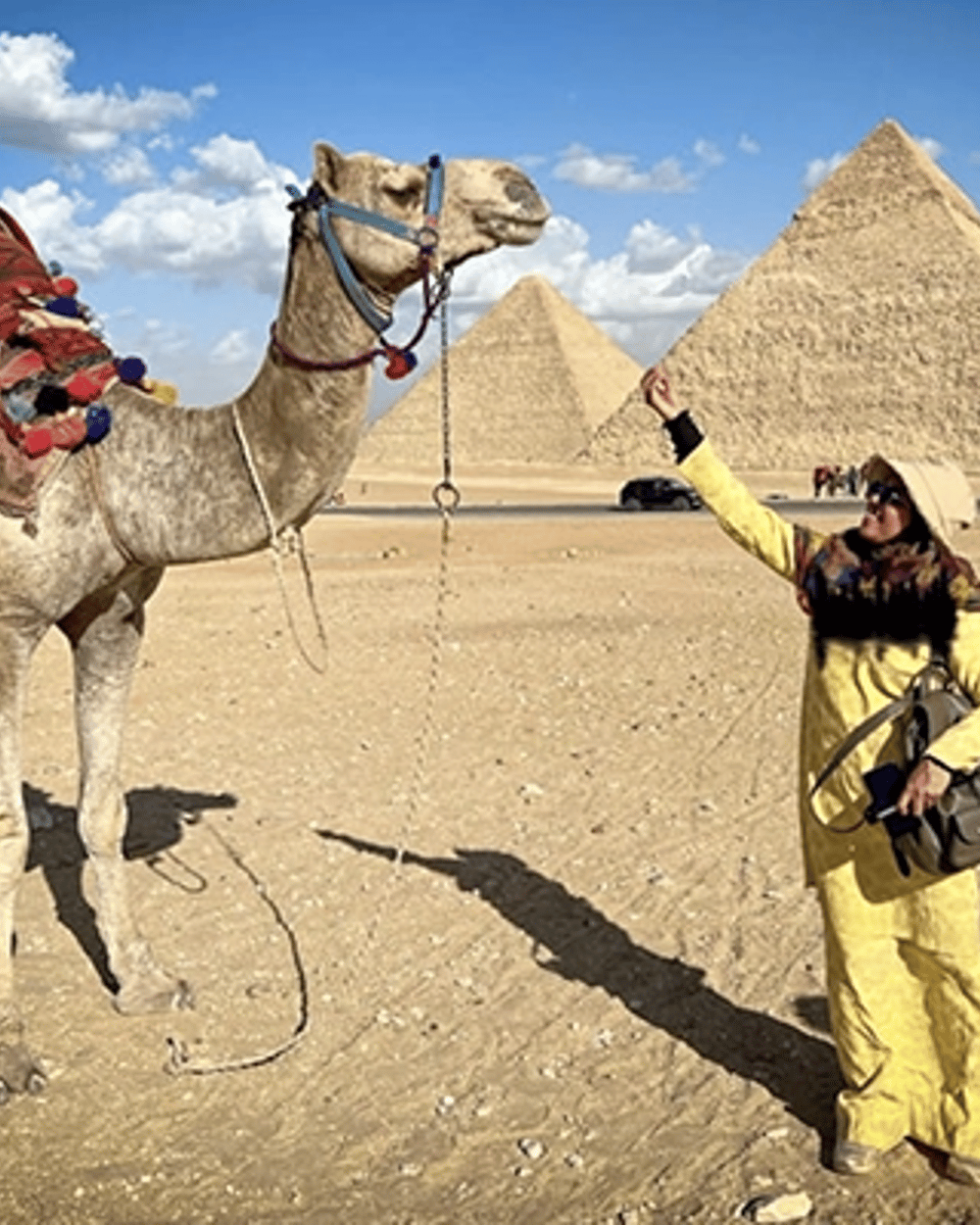 From Hurghada: Giza Pyramids, Sphinx, & Museum Tour with Lunch