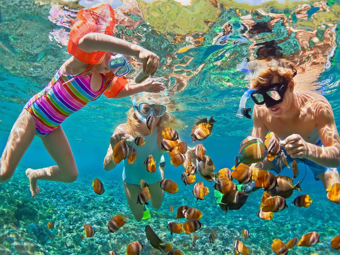 Marine Life