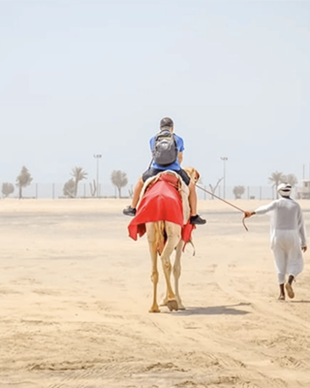 Camel ride