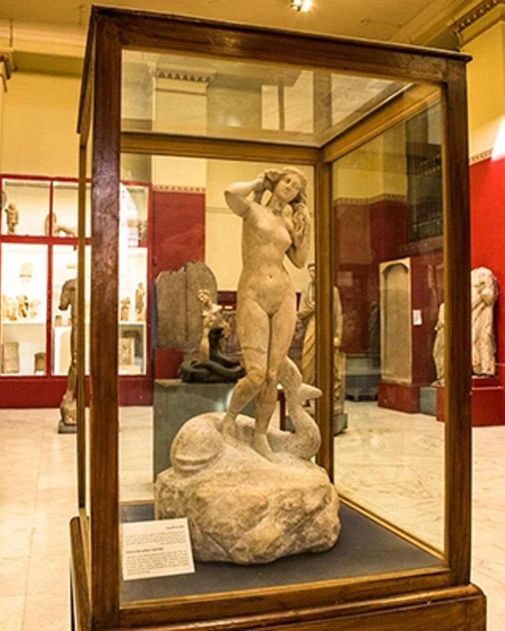 Lunch & Egyptian Museum — 1