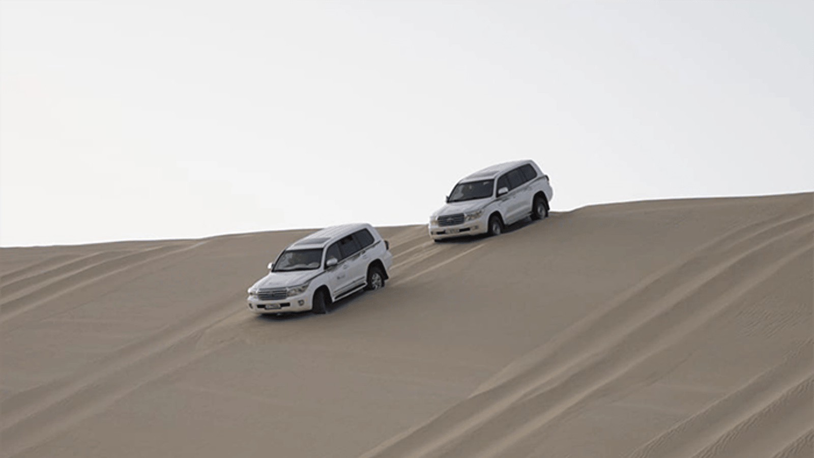 Doha: Safari, Camel Ride, Sandboarding and Inland Sea Tour