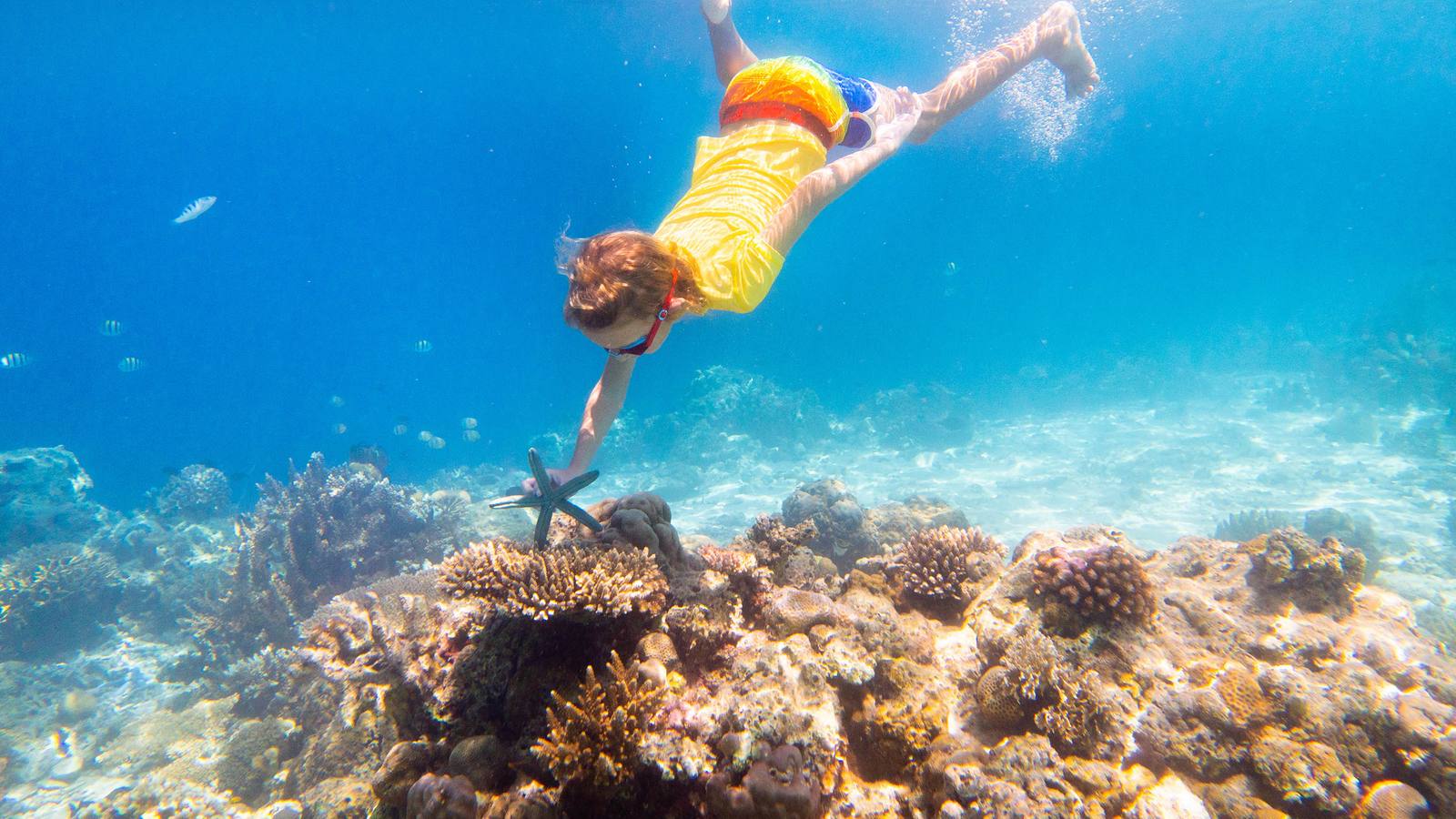 6-Day Hurghada & Cairo Package: Red Sea, Pyramids & Safari