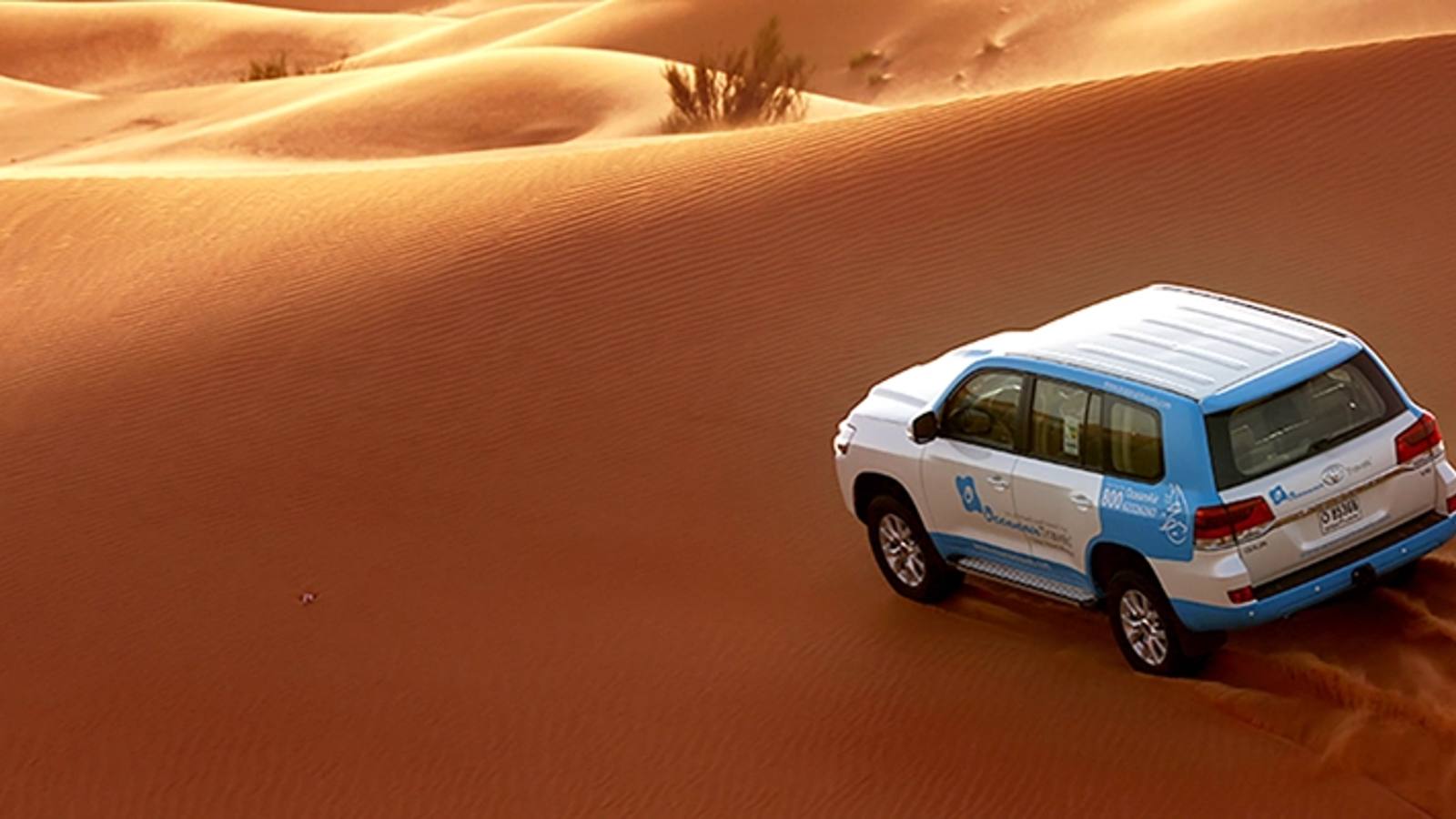 Abu Dhabi: Morning Desert Safari, Camel Ride & Sandboarding