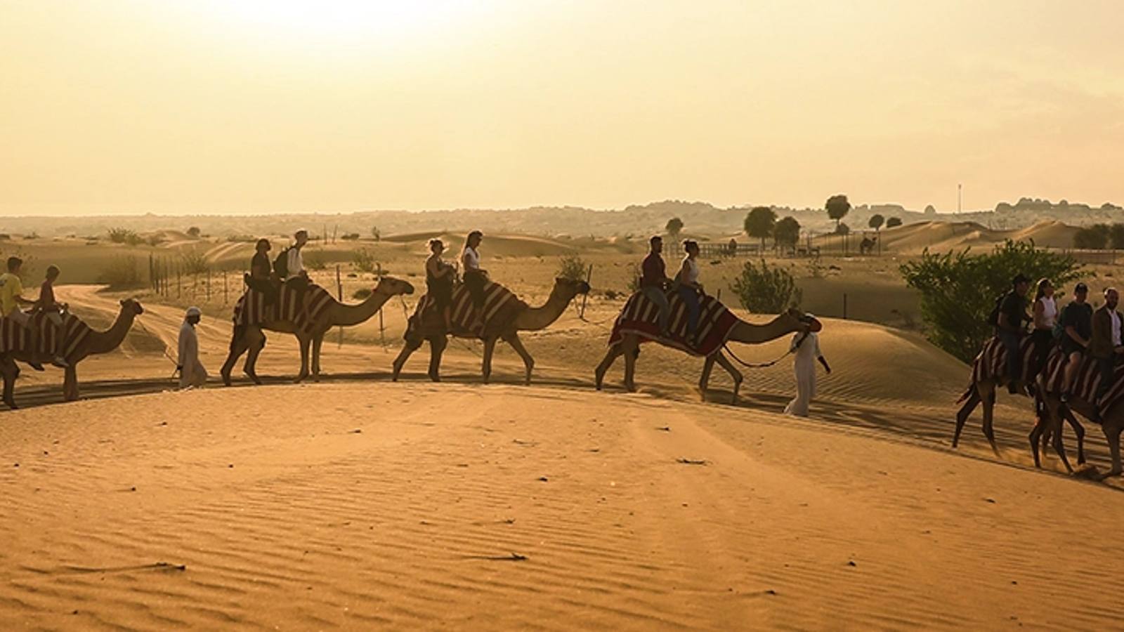 Dubai: Sunset Camel Trekking & Dinner at Al Marmoom Oasis