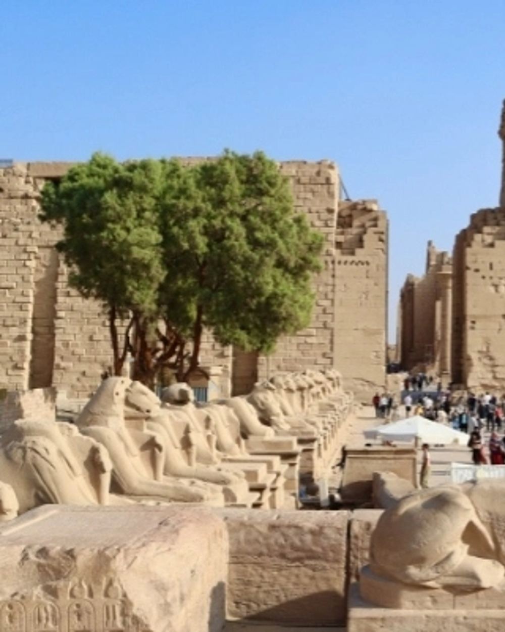 Journey from Hurghada to the City of the Pharaohs — 2