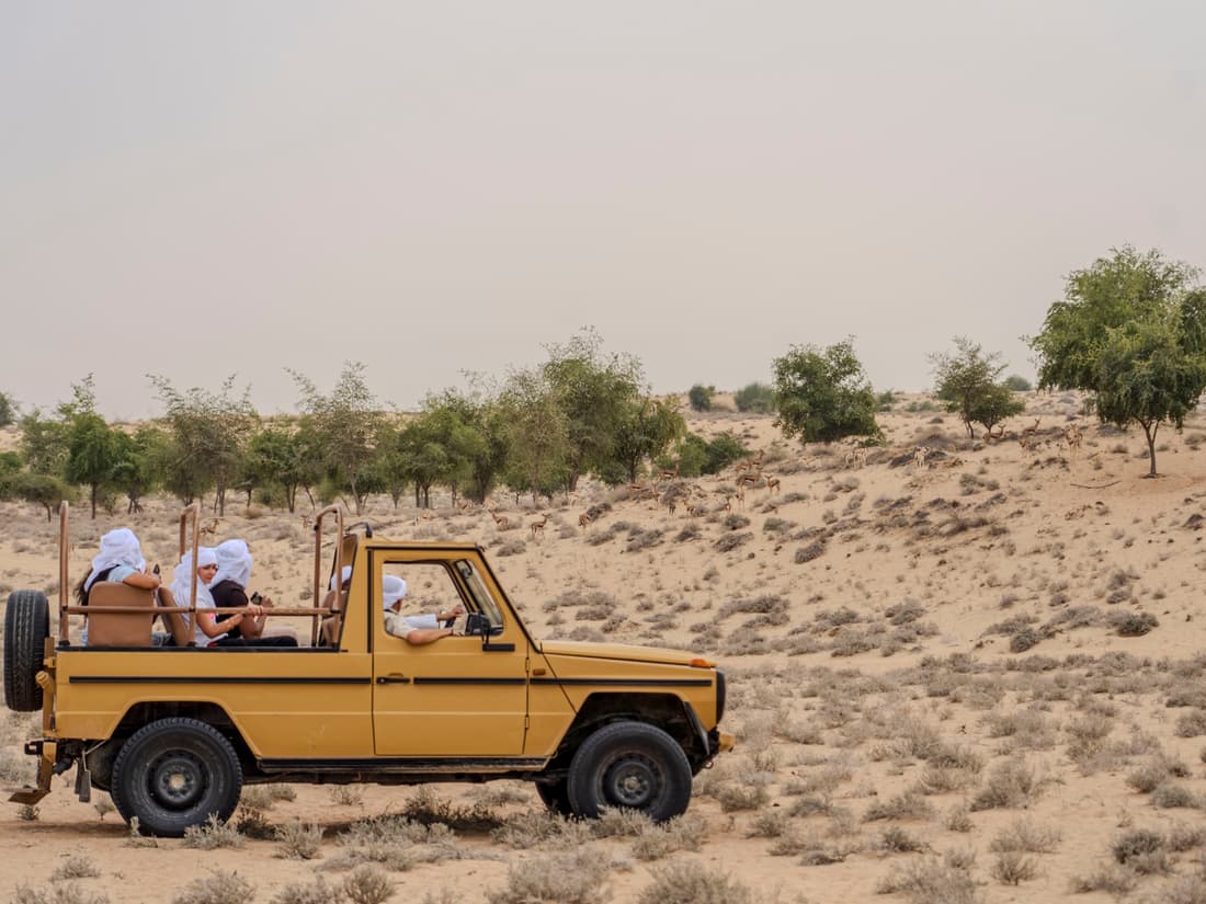 Vintage ride at Al Marmoom
