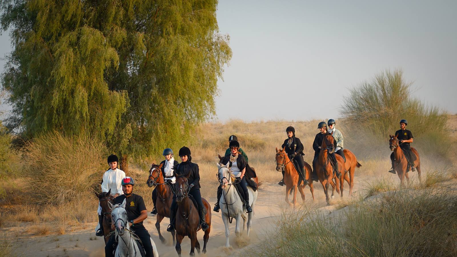 Dubai: Al Marmoom Oasis Horse Riding Experience