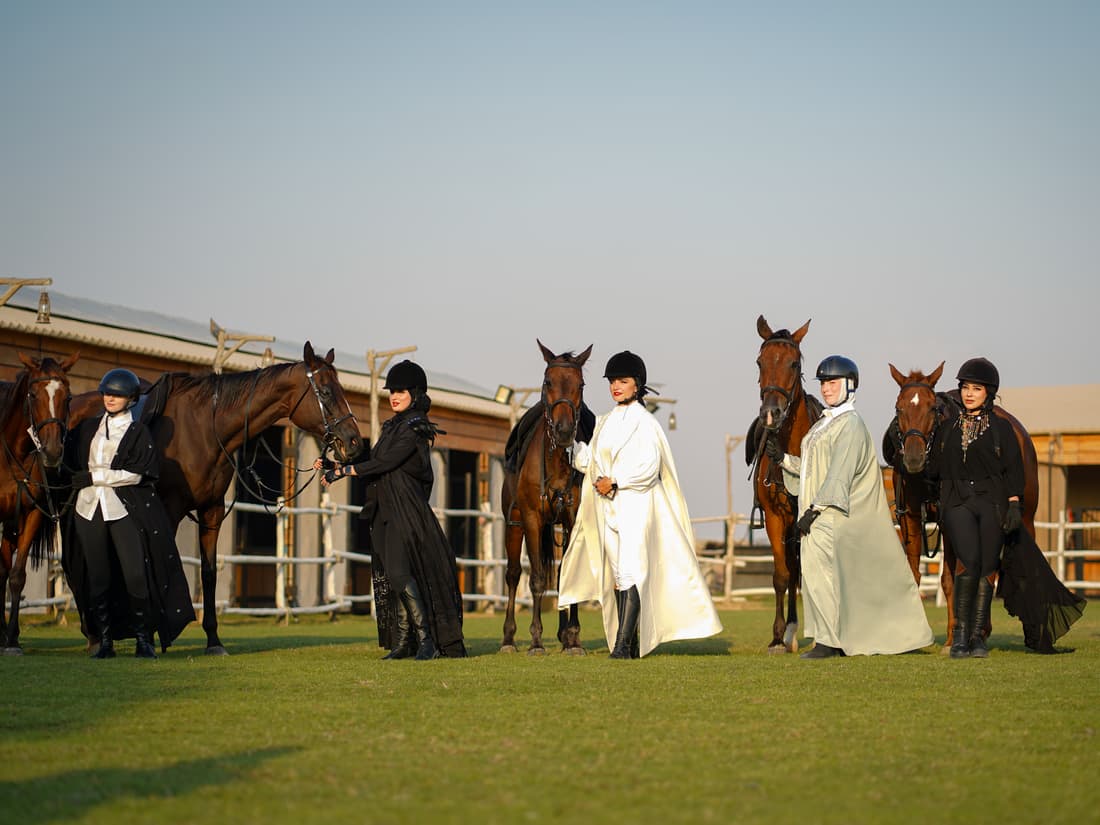 Meet the Broodmares