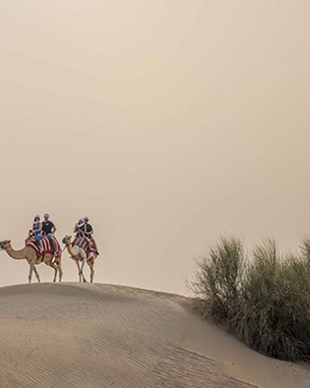 Sunset Magic & Camel Trekking — 2