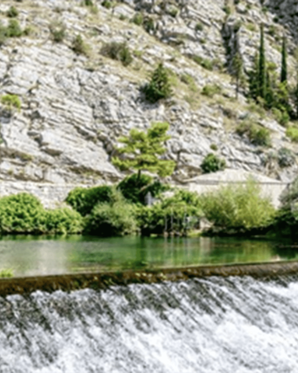 Dubrovnik: Vjetrenica Cave, Ombla and Trsteno Arboretum Tour