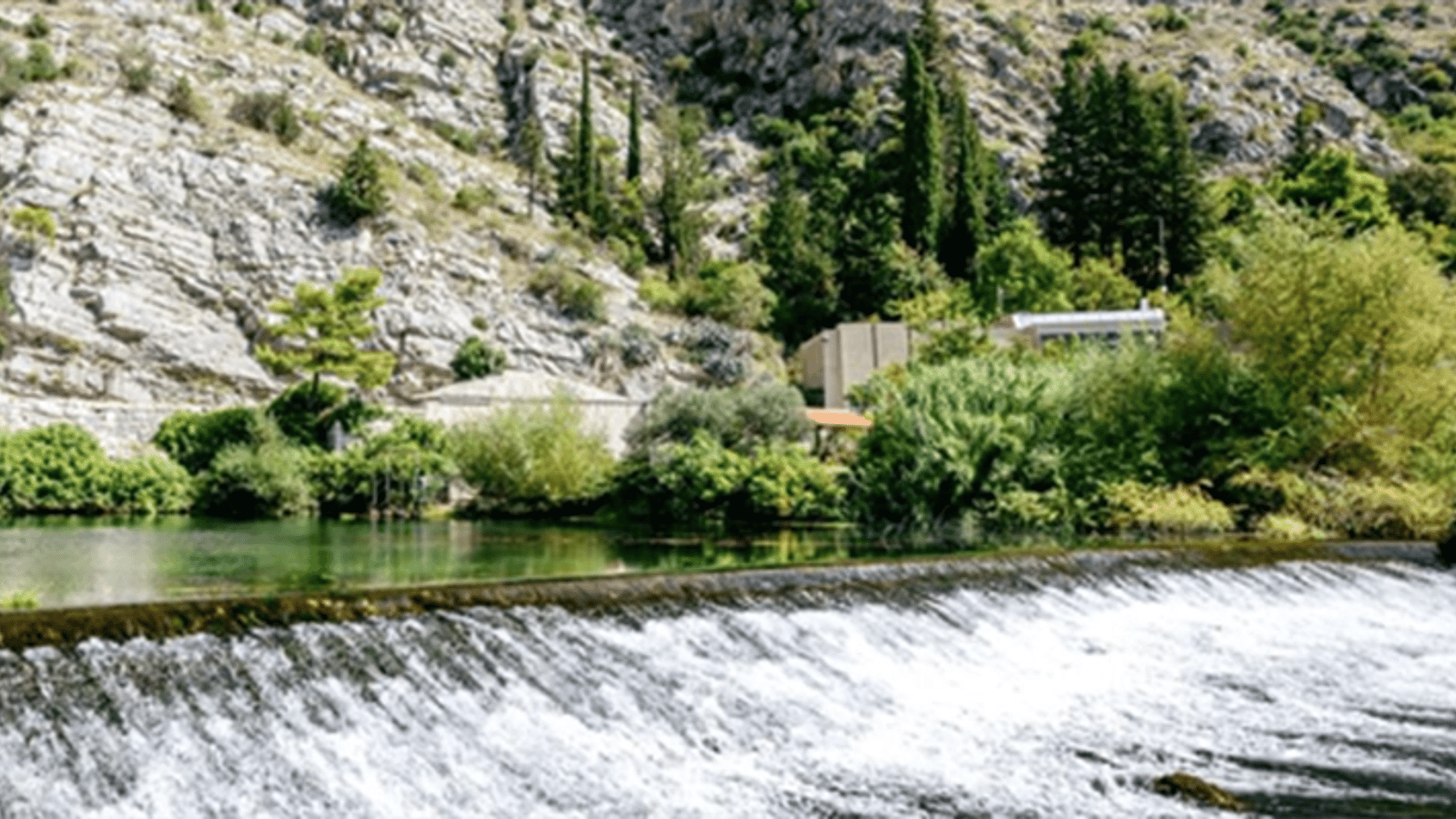 Dubrovnik: Vjetrenica Cave, Ombla and Trsteno Arboretum Tour