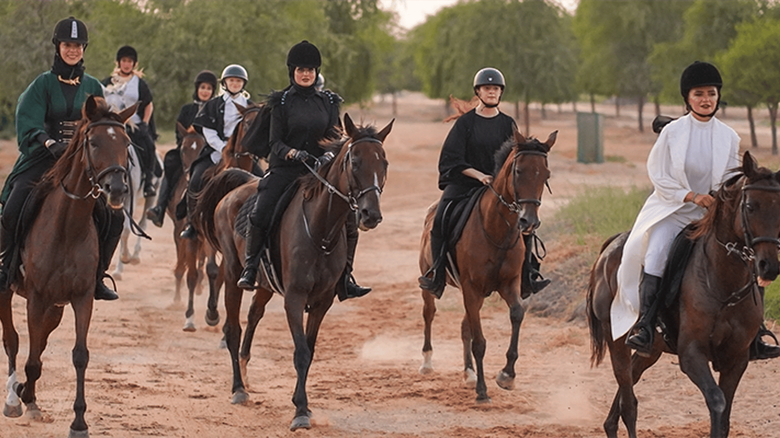 Dubai: Al Marmoom Oasis Horse Riding Experience
