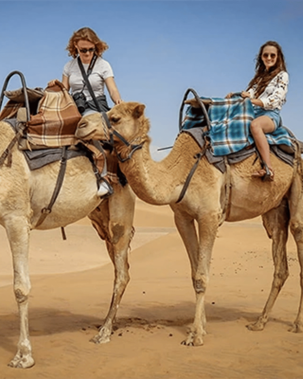 Camel ride — 1