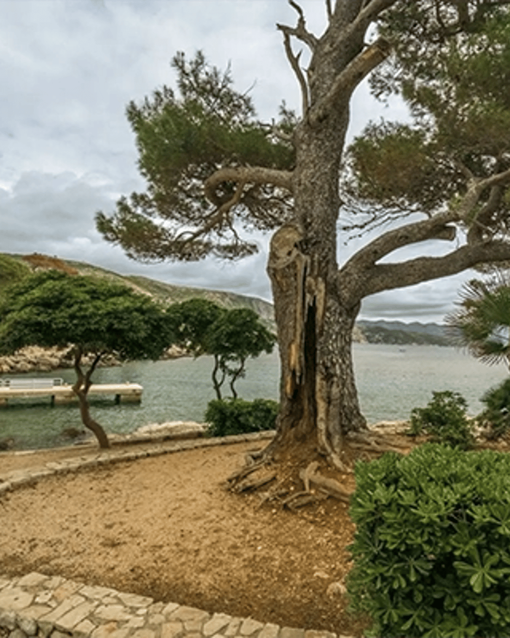 Lokrum Island — 3