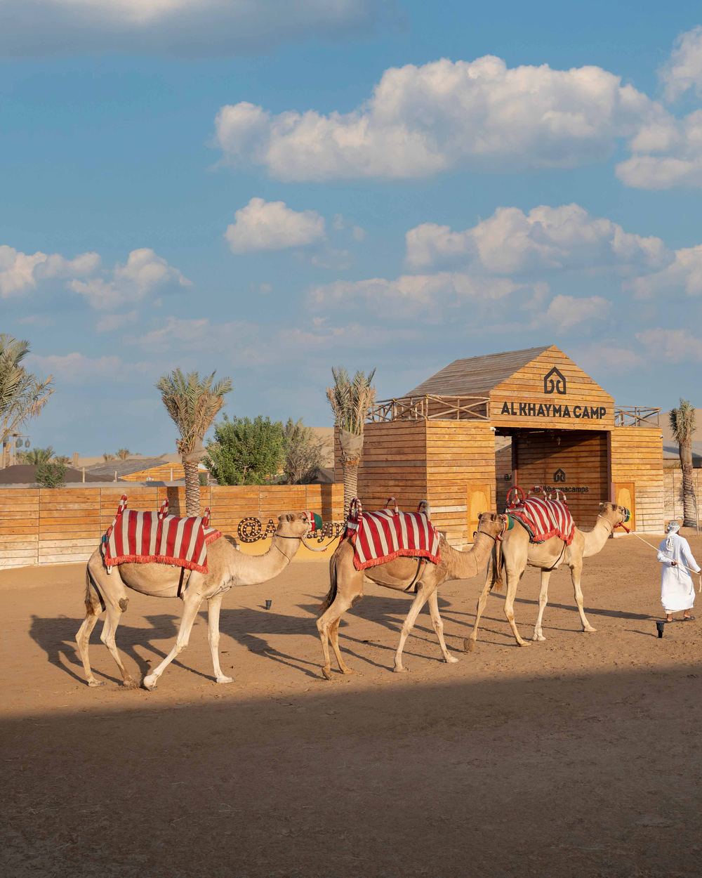 camel ride at al khayma