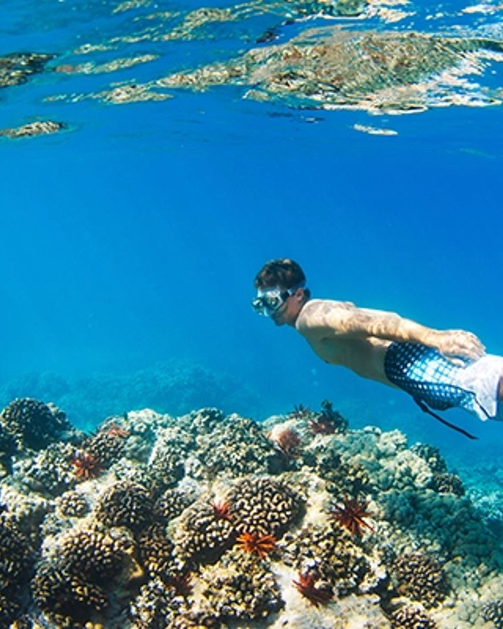 Red Sea Boat Cruise