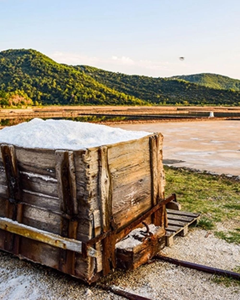 From Dubrovnik: Panorama Views, Ston Town and Saltworks